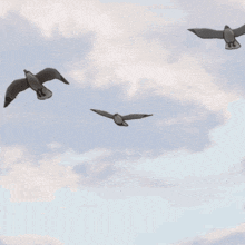 a cartoon bird with a yellow beak is flying in the sky
