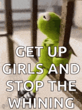 kermit the frog is sitting on a railing with the words `` get up girls and stop the whining '' written on it .