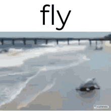 Flying GIF - Flying GIFs