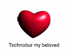 a picture of a minecraft character with the words technobur my beloved below it