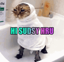 Sudsy Hi Sudsy GIF - Sudsy Hi Sudsy Sud GIFs