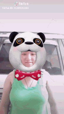 Mary Rose Tiktok GIF - Mary Rose Tiktok Panda GIFs