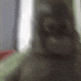 a close up of a person 's face with a blurred background