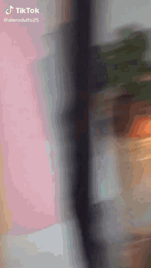 a blurred image of a person standing in front of a pink wall with tiktok written on the bottom