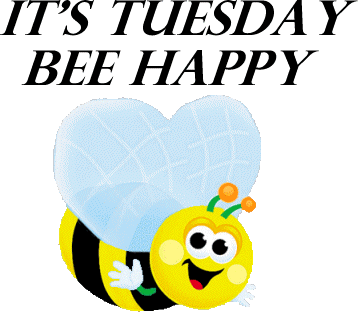 Tuesday Its Tuesday Sticker - Tuesday Its Tuesday Bee Happy Stickers