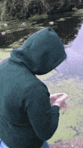 Pushed In Water Pushed In Pond GIF