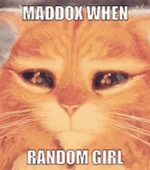 Maddox GIF - Maddox GIFs