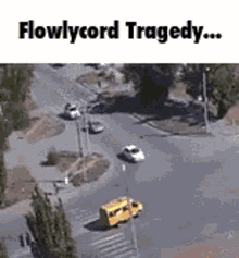 Flowlycord Tragedy GIF - Flowlycord Tragedy Risk GIFs