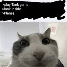 a cat is looking at the camera while sitting on a bed .