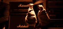 Nohemy Calenton GIF