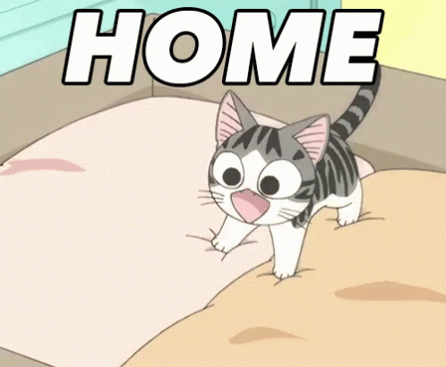 Home GIF - Chi Chis Sweet Home Happy GIFs