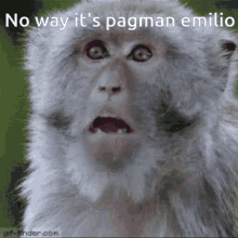 Emilio Pagman GIF - Emilio Pagman GIFs