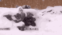 Panda Tumbles In The Snow GIF - Panda Fall Snow GIFs