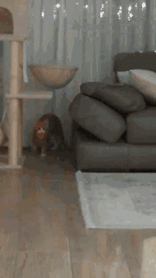 a living room with a couch and a table