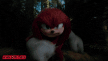 knuckles the hedgehog is shown in a blurred photo