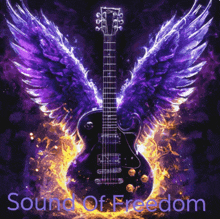 a guitar with wings is surrounded by flames and the words sound of freedom below it