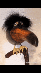 a stuffed bird with a long beak is sitting on a branch