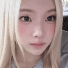a close up of a woman 's face with blonde hair and a pink blush .