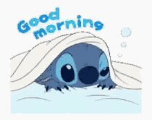 Stitch Good Morning GIF - Stitch Good Morning Stare GIFs