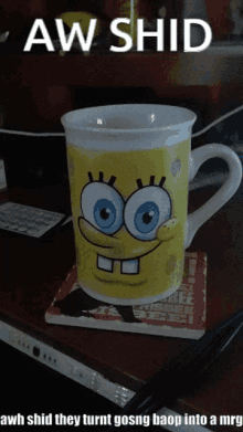 asoingbob warren aga spongebob cup