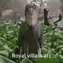 royal villain arc shoebill
