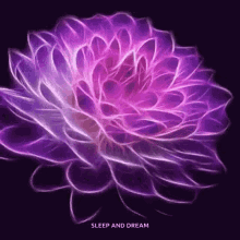 Flower Violet GIF - Flower Violet Spinning GIFs