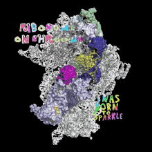 Ribosome On Shrooms Ribosome GIF