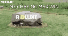 Rollbit Max Win GIF - Rollbit Max Win GIFs