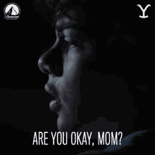Are You Okay Mom Tate Dutton GIF - Are You Okay Mom Tate Dutton Yellowstone GIFs