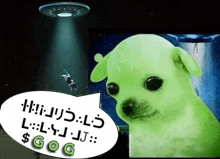 a green dog is sitting in front of a ufo and talking to a bee .