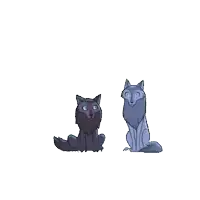 two wolves are standing next to each other and one is sitting