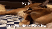 Kyle GIF - Kyle GIFs