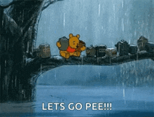 Lluvia Winnie The Pooh GIF - Lluvia Winnie The Pooh Flood GIFs