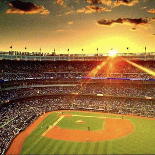 Yankee Stadium GIF - Yankee Stadium - Discover & Share GIFs
