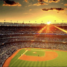 Yankee Stadium GIF - Yankee Stadium GIFs