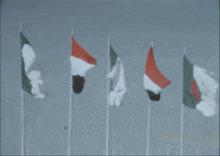 Yemen Algeria GIF - Yemen Algeria Flag GIFs