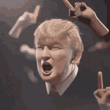 Donnie Middle Finger GIF - Donnie Middle Finger Fuck Off GIFs