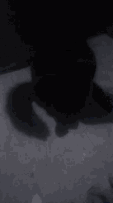 a shadow of a person is cast on a gray surface