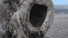 Im Home Robert E Fuller GIF