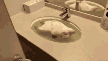 Hog Bath GIF - Hog Bath Cozy GIFs