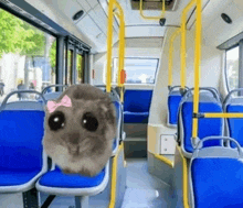 Hamster Bus GIF