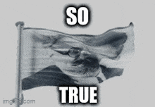 a black and white photo of a flag with the words so true written on it
