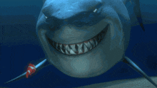 акула GIF
