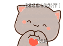 a cartoon cat is holding a heart and says `` good night i love you '' .