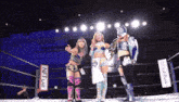 three women in a wrestling ring with a sign that says net lab on it
