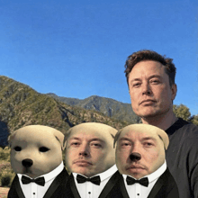 elon musk is surrounded by three dogs wearing tuxedos with bow ties