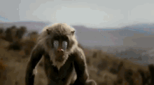 The Lion King Live Action GIF
