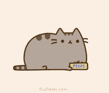 Pusheen Cat GIF