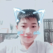 a young boy with cat ears on his head and the words cute on his face .