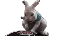 candy cottontail peter rabbit2the runaway nom nom eating